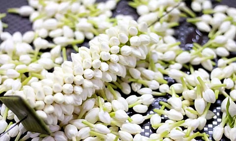நெல்லையில் இன்று பூக்களின் விலை கடும் உயர்வு; பிச்சிப்பூ  கிலோ ரூ.1,500-க்கு  விற்பனை