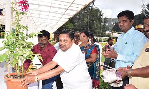 மலர்க்காட்சி திடலில் வண்ண மலர்த்தொட்டிகள் அடுக்கி வைக்கும் பணியை சுற்றுலாத்துறை அமைச்சர் ராமச்சந்திரன் தொடங்கி வைத்தபோது எடுத்தப்படம். 