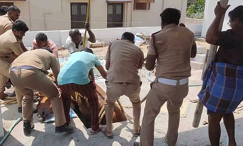 &nbsp;ராட்சத கயிறு மூலம் தீயணைப்பு வீரர்கள் குதிரை மீட்கப்பட காட்சி.