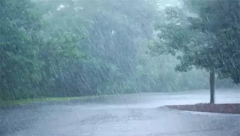 சேலம் மாவட்டத்தில் பரவலாக மழை