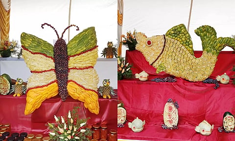  பழங்களால் உருவான வண்ணத்துப்பூச்சி, மீன்