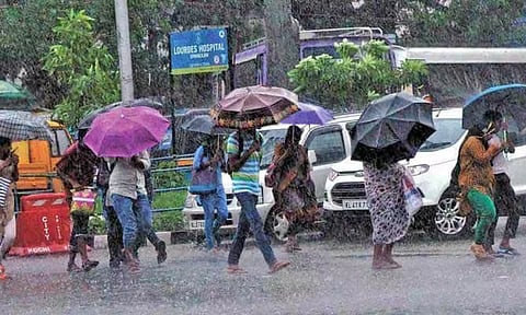 தஞ்சை மாவட்டத்தில் ஒரே நாளில் 349 மி.மீ. மழை கொட்டியது