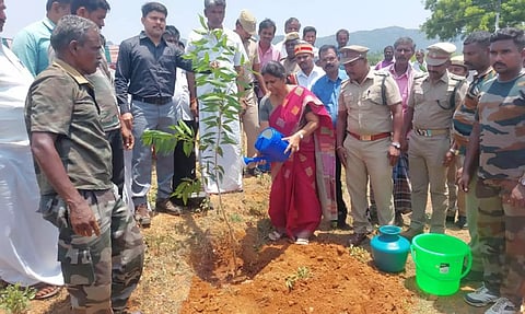 ஈச்சம்பள்ளம் பகுதியில் கலெக்டர் சாந்தி மரக்கன்று நட்டபோது எடுத்தப்படம்.&nbsp;
