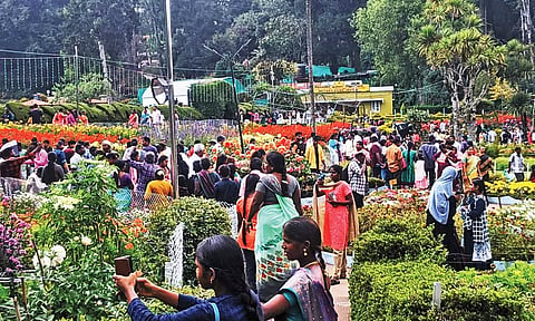 பிரையண்ட் பூங்காவில் மலர்களின் அழகை கண்டு ரசிக்கும் சுற்றுலா பயணிகள்
