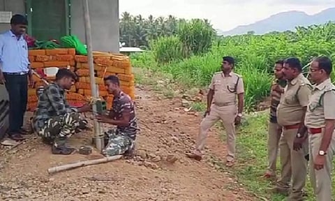 டி.என்.பாளையம் அருகே தோட்டத்துக்குள் புகுந்து ஆட்டுக்குட்டியை கடித்து கொன்ற சிறுத்தை