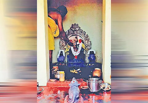 கோவில்பட்டி விநாயகர் கோவிலில்  சங்கடஹர சதுர்த்தி பூஜை
