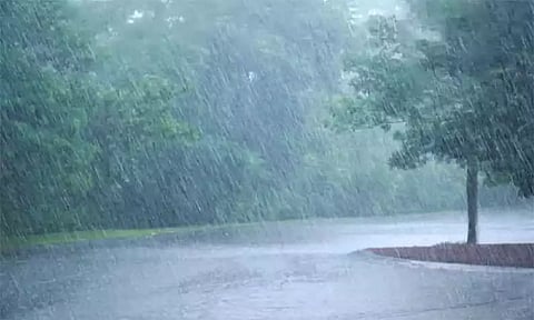 பர்கூர் மலைப்பகுதியில் பரவலாக மழை