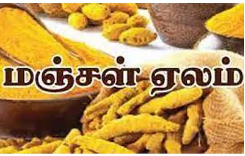 அரூரில் ரூ.4½ லட்சத்துக்கு மஞ்சள் ஏலம்