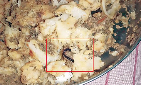 பூரான் கிடந்த பரோட்டா சாப்பிட்ட 2 வாலிபர்களுக்கு வாந்தி, மயக்கம்- ஆஸ்பத்திரியில் அனுமதி