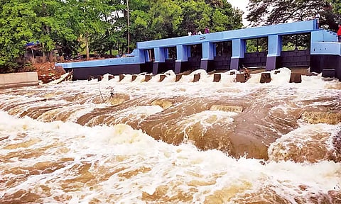 குறுவை பாசனத்திற்காக பாய்ந்து வரும் காவிரி நீர்.