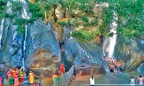 இன்று காலை சுற்றுலா பயணிகள் குளித்து மகிழ்வதையும் படத்தில் காணலாம்.