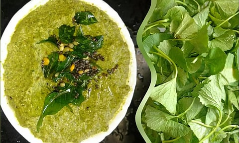 கண் நரம்புகளுக்கு நன்மை அளிக்கும் வல்லாரை சட்னி