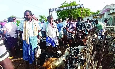 எட்டயபுரம் சந்தையில் ஆடுகளுடன் குவிந்த வியாபாரிகளை படத்தில் காணலாம்.