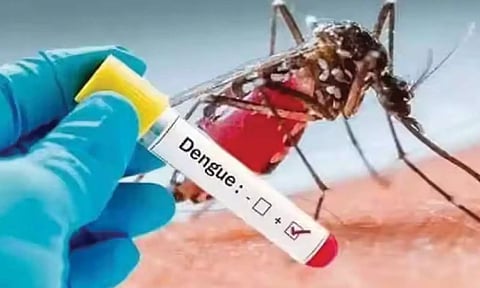 2 பேருக்கு பாதிப்பு: டெங்கு காய்ச்சல் பரவலை தடுக்க நீலகிரியில் தீவிர கண்காணிப்பு