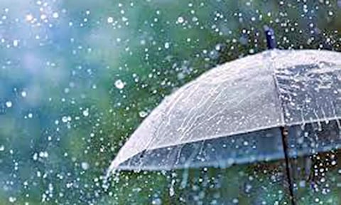 பேராவூரணி பகுதியில் கோடை மழை