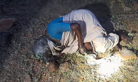 வனப்பகுதியில் அழுகிய நிலையில்  பிணமாக கிடந்த மூதாட்டி