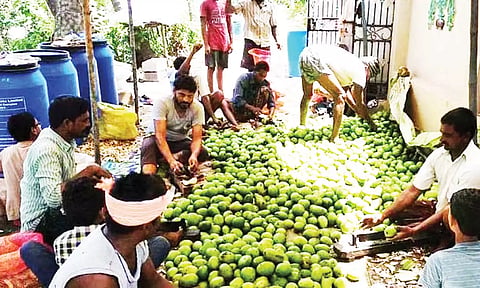 ஊறுகாய் தயாரிக்கும் பணியில் கிராம மக்கள் ஈடுபட்டுள்ள காட்சி.