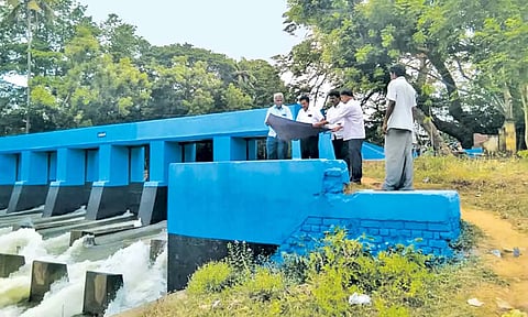 திருவாலங்காட்டில் நீர்வளத்துறை அதிகாரி ஆய்வு செய்தார்.
