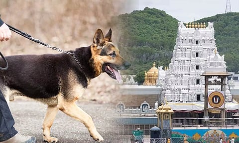 திருப்பதி ஏழுமலையான் கோவிலுக்கு நாயுடன் வந்த பக்தர்கள்- தரிசனம் செய்ய அனுமதி மறுப்பு