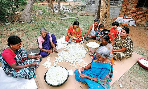 பெண்களுக்கு நிரந்தர வருமானம் தரும் பட்டுப்புழு வளர்ப்பு தொழில்