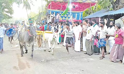 கபிஸ்தலத்தில் மாட்டு வண்டி பந்தயம் நடந்தது.