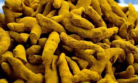 ஈரோட்டில் ஒரு குவிண்டால் மஞ்சள் ரூ.10 ஆயிரத்தை நெருங்கியது