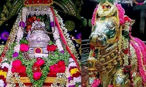 ஆரல்வாய்மொழி மீனாட்சி சுந்தரேஸ்வரர் கோவிலில் சனி பிரதோஷ பூஜை இன்று நடக்கிறது
