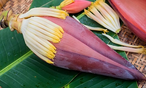 வாழ வைக்கும் பூ