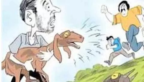 ஆடுகளை திருடும் கும்பல்; விவசாயிகள் கவலை