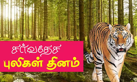 கோப்பு படம்.