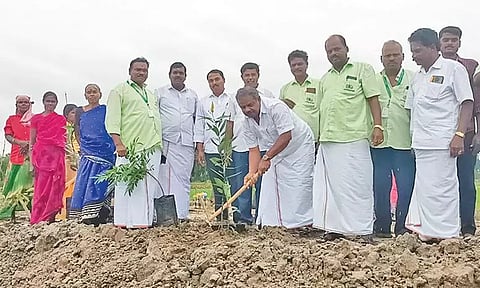 பசுமை தாயக தினத்தில்  சுற்றுச்சூழலை பாதுகாக்கும் நோக்கில் எம்.எல்.ஏ. வெங்கடேஸ்வரன் மரக்கன்றுகளை நட்டு வைத்து தொடங்கி வைத்தார்.