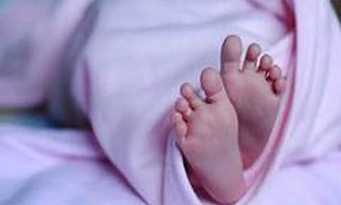 பச்சிளம் குழந்தையை கவ்விச் சென்ற காட்டுப்பூனை.. கூரையில் இருந்து வீசியதால் உயிரிழந்த சோகம்