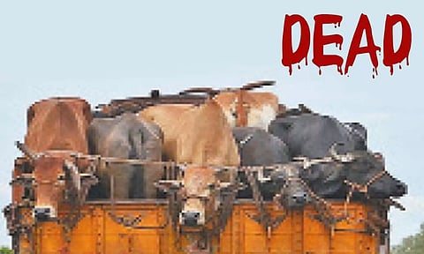கோப்பு படம்.