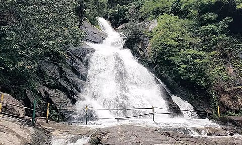 கவியருவியில் குளிக்க சுற்றுலா பயணிகளுக்கு தடை