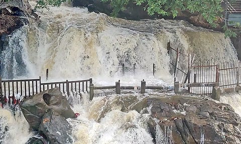 ஒகேனக்கல்லுக்கு நீர்வரத்து அதிகரிப்பால் தண்ணீர் சீறிபாய்ந்து செல்வதை காணலாம் 