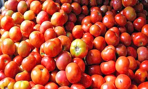 பாளை மார்க்கெட்டில் இன்று  தக்காளி விலை கிலோ ரூ.150 ஆக உயர்வு