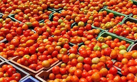 சென்னை கோயம்பேடு சந்தையில் தக்காளி விலை ரூ.170: சில்லறை விற்பனையில் 200 ரூபாயை தாண்டியது