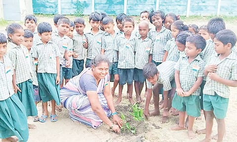 பள்ளியில் மரக்கன்று நடப்பட்டது.
