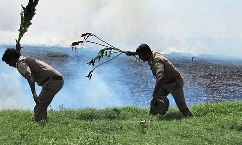 பாகூர் ஏரியில் தீப்பற்றி எரியும்  முற்புதர்களை தமிழக வனத்துறையினர் அணைத்த காட்சி.
