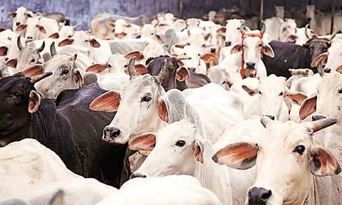 கோப்புபடம்