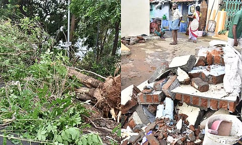 வேருடன் விழுந்து கிடக்கும் மரத்தையும், கால்நடை மருத்துவமனை ரோட்டில் சுவர் இடிந்து இருப்பதையும் படத்தில் காணலாம்.&nbsp;