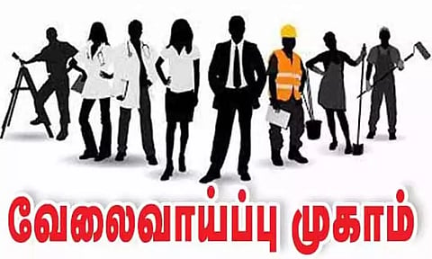 தனியார்துறை வேலை வாய்ப்பு முகாம்