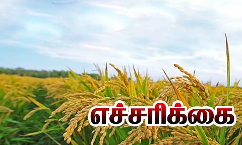 பயிர் காப்பீடு திட்டத்தில் உதவியாளர் பணி நியமனம் ஏதும் இல்லை- வேளாண்மை இணை இயக்குநர் தகவல்