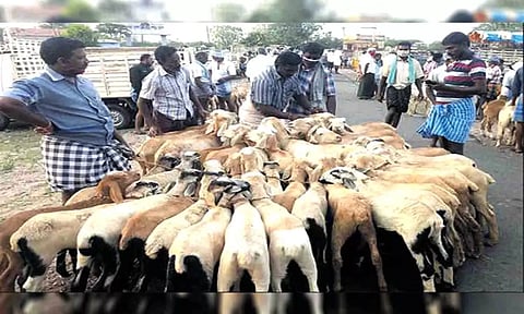 கோப்பு படம்.