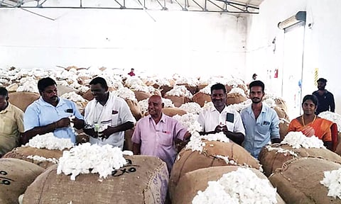 பருத்தி ஏலம் நடந்தது.
