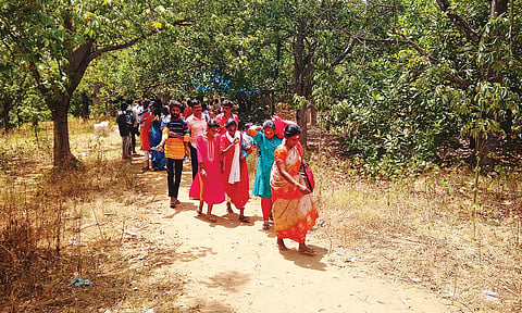 உப்புத்துறை வழியாக பக்தர்கள் சதுரகிரி சுந்தரமகாலிங்கம் கோவிலுக்கு நடந்து செல்லும் காட்சி.