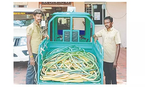 பேரூராட்சி நிர்வாகத்தின் சார்பில் பறிமுதல் செய்யப்பட்ட பிளாஸ்டிக் டியூப்புகளை படத்தில் காணலாம்.