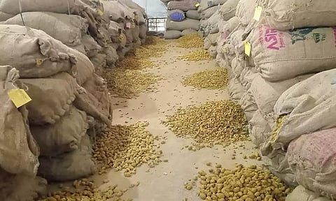 அரூர் வேளாண்மை உற்பத்தியாளர்கள் கூட்டுறவு   சங்கத்திற்கு விற்பனைக்காக கொண்டு வரப்பட்ட மஞ்சள்.