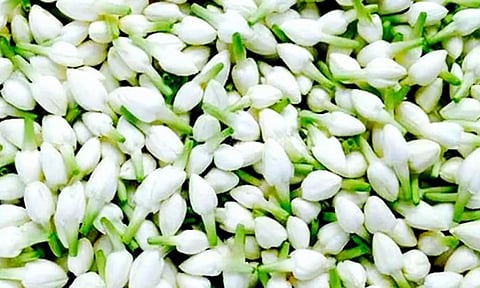 ஆவணி முதல் முகூர்த்த நாள்;  தஞ்சையில், பூக்களின் விலை கணிசமாக உயர்வு