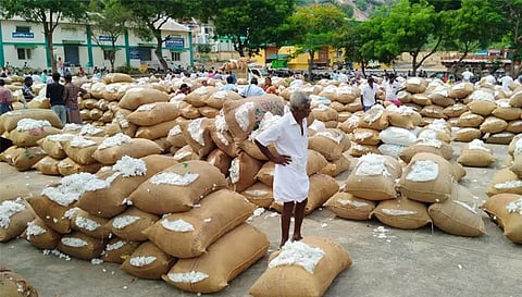 ஏலத்திற்கு கொண்டு வரப்பட்ட பருத்தி மூட்டைகள்.